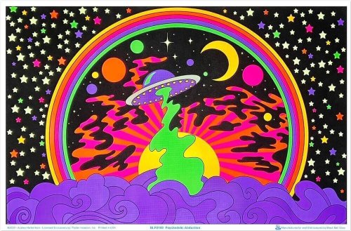 Cosmic Dreamscape Flocked Poster by Audrey Herbertson - 35" x 23