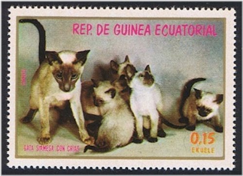 Siamese Cat Stamp Series