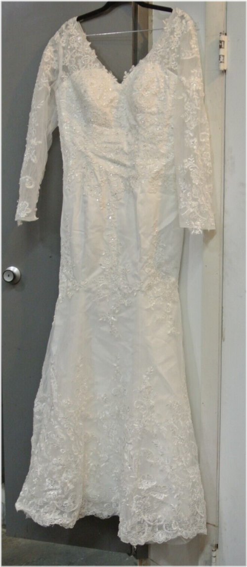 Elegant Lace Sleeve Gown