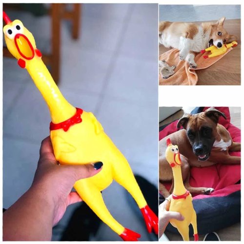 Squeaky Chicken Chew Toy