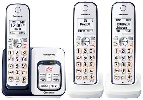 Panasonic Voice Assist Trio