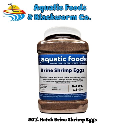 Artemia Hatchery Jar
