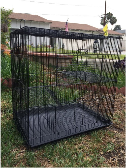 Cozy Haven Multi-Level Habitat