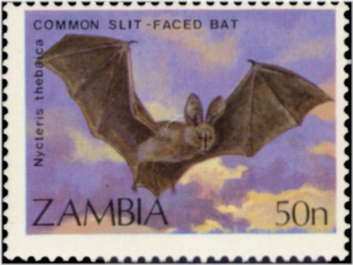 Zambian Bats Commemorative Stamp