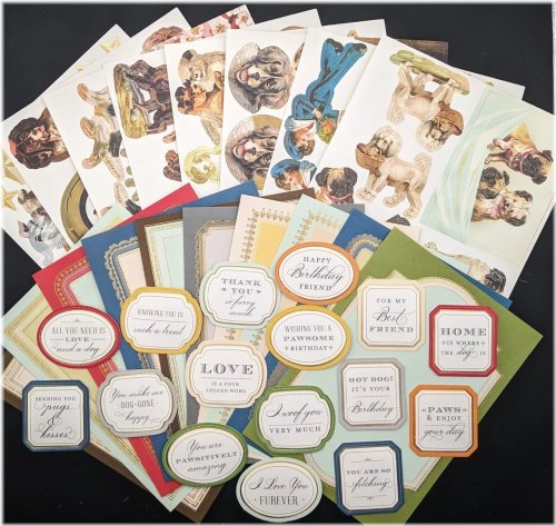 Paws and Playful Words Crafting Kit