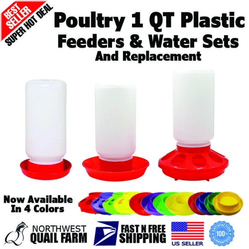 Feather-Friendly 1 QT Feeder and Waterer Set for Backyard Chickens