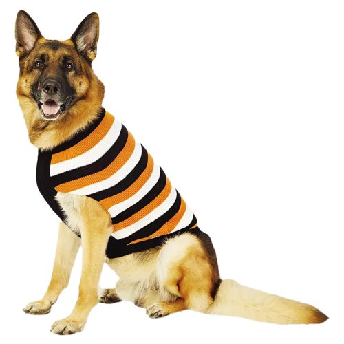 Spooky Pet Sweater
