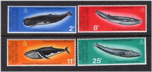 Whale Collection of British Antarctic Territories, 1977