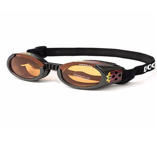 Flame Orange Dog Eye Protection