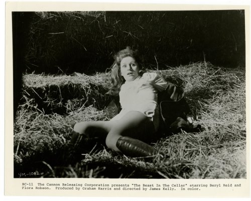 Shadowed Memories Collection