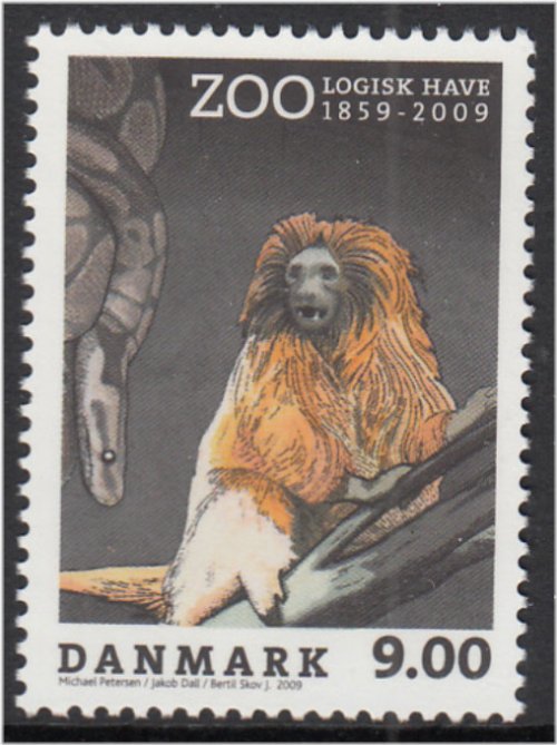 Golden Lion Tamarin Stamp from Denmark