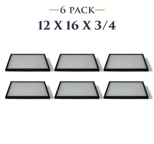 Collectibles Showcase