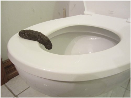 Prankster's Potty Surprise