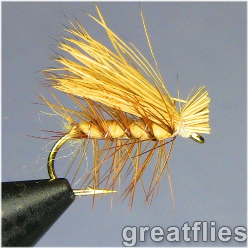 Natural Tan Fly Collection