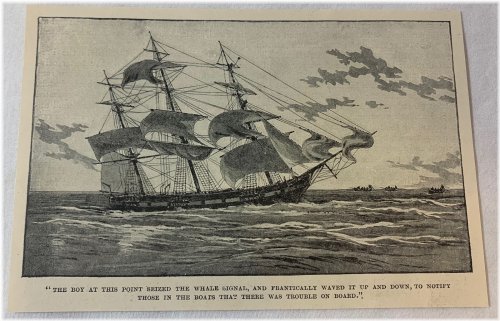 The Whale Signal Engraving from 1891