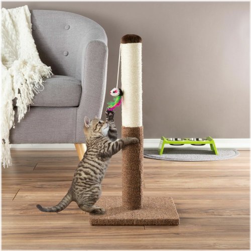 Feline Haven Scratching Post with Toy Mouse