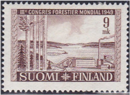 Forest Beauty Collection