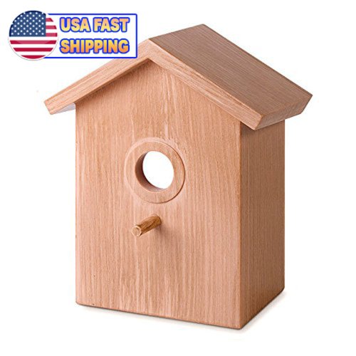 AvianView Suction Cup Bird House