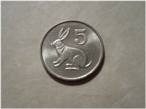 Zimbabwe Rabbit Hare 5 Cent Coin