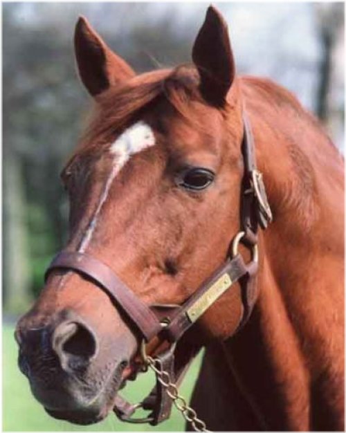 Kentucky Derby Legend: Secretariat's 1973 Victory