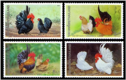 Rooster and Chicken Stamps from Thailand 1991