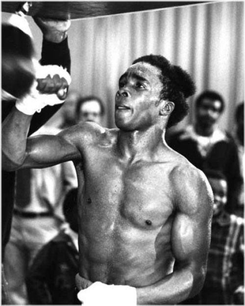 Champion Legacy: SUGAR RAY LEONARD 8x10 Glossy Photo Print