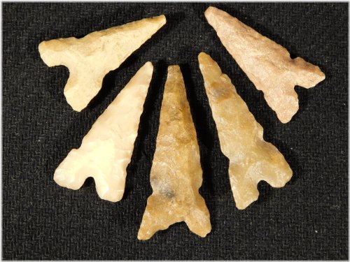 Triple Notch Tidikelt Arrowhead Collection