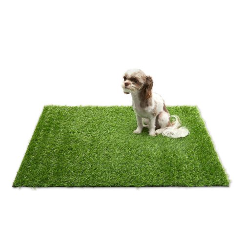 Pet-Friendly Drainable Turf for Easy Potty Training and Lawn Maintenance