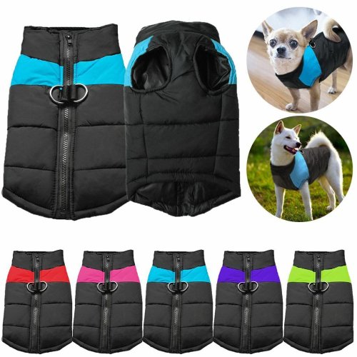 Paw Shield Winter Coat