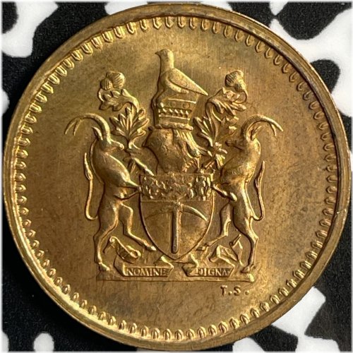 Rhodesian Copper Beauty