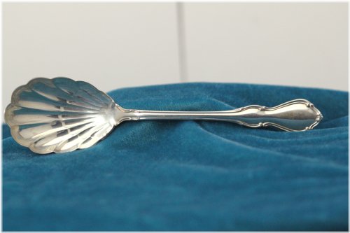 Regal Elegance Silver Sugar Shell Spoon