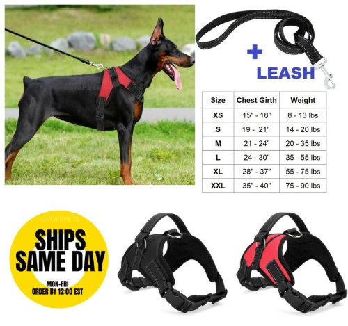 ComfortFit Harness and Leash Set