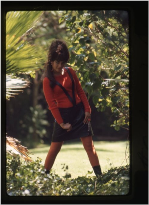 Golden Era Captured: 1960s Color Photography Collection