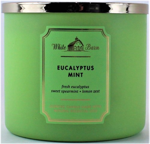 Eucalyptus Mint Triple Wick Candle