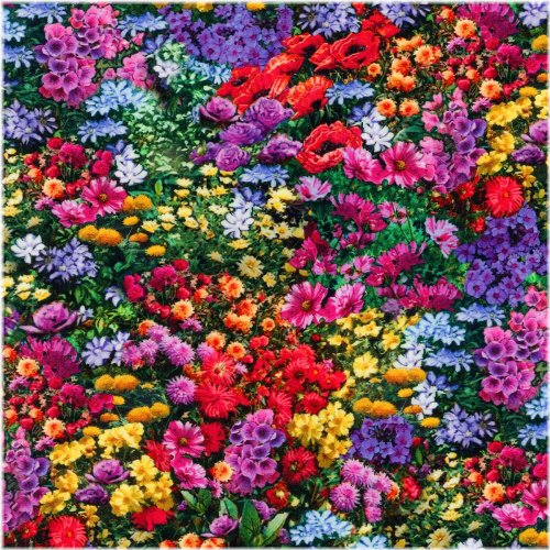 Blossom Fields Cotton Fabric