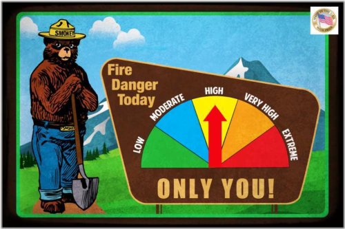 Wildfire Alert System