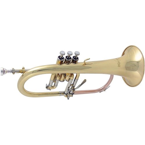 The Golden Tone Bb Flugelhorn by Bach - FH600 Aristocrat Series