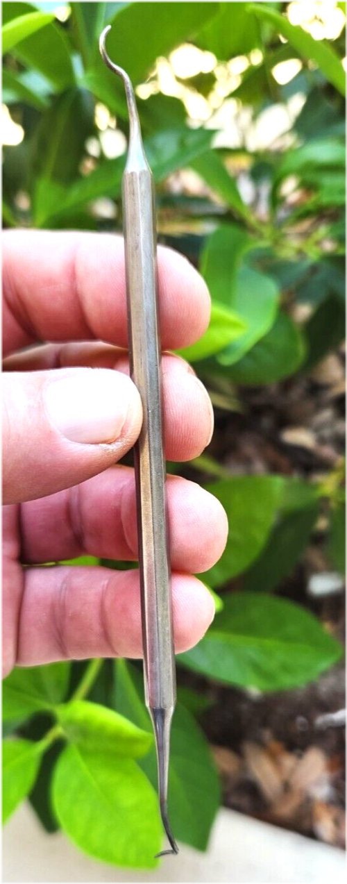 Antique Dental Tool