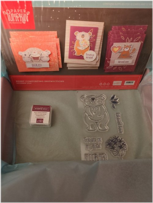 Comforting Koala Embossing Set