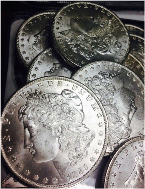 (1) Vintage American Silver Dollar Collection - Uncirculated 1878-1904 MS Coins