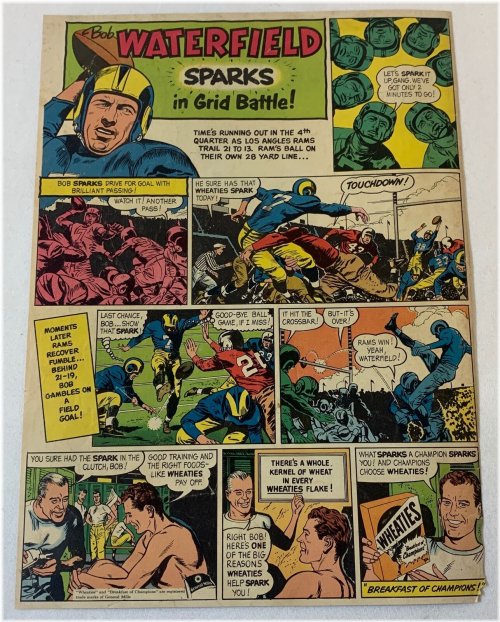 Retro Rams Collectible Print