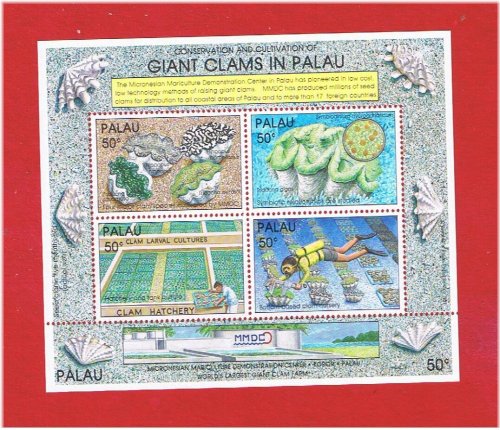 Pristine Palau Clam Souvenir Sheet