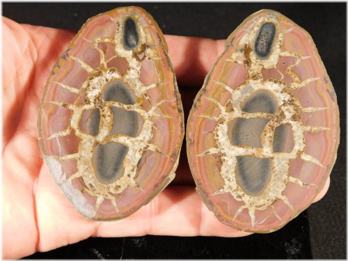 Moroccan Septarian Nodule Display Piece