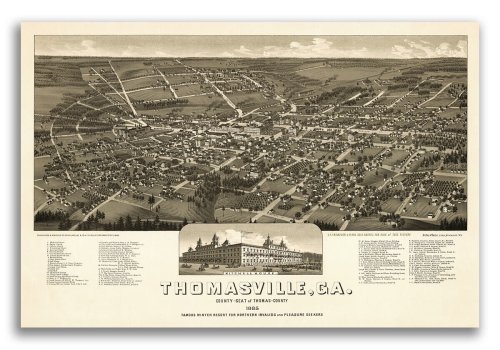 Thomasville Georgia Panoramic Map, 1885