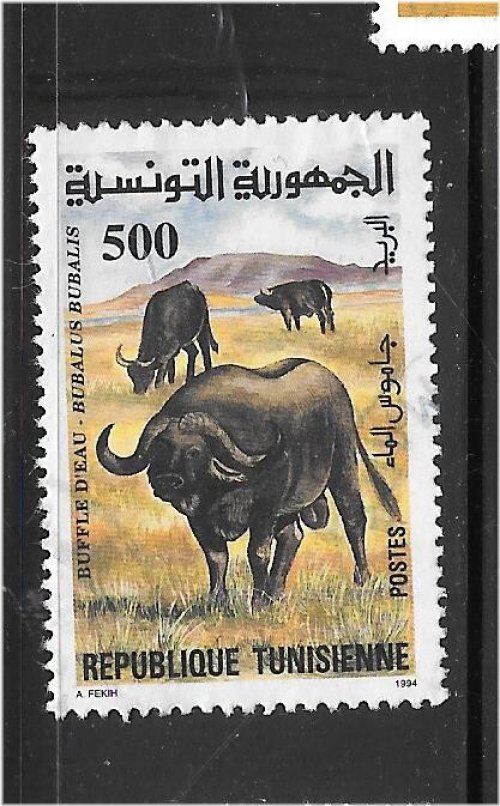 Tunisian Water Buffalo Stamp