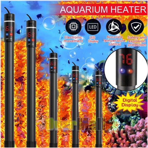 ThermoLED 500: Precision Temperature Control for Large Aquariums