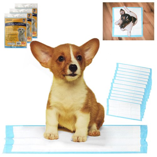 Quilted Pet Underpads - Pack of 12 for Easy Puppy Training and Clean-up