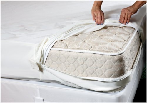 SecureSleep Mattress Shield