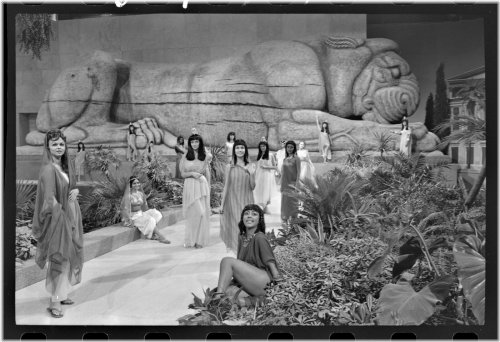 Candid Cleopatra: 1960s Fox Studio 35MM Negatives