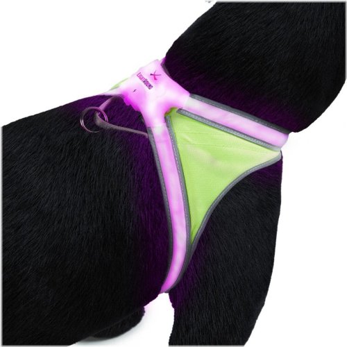 LuminarPaws Visibility Harness